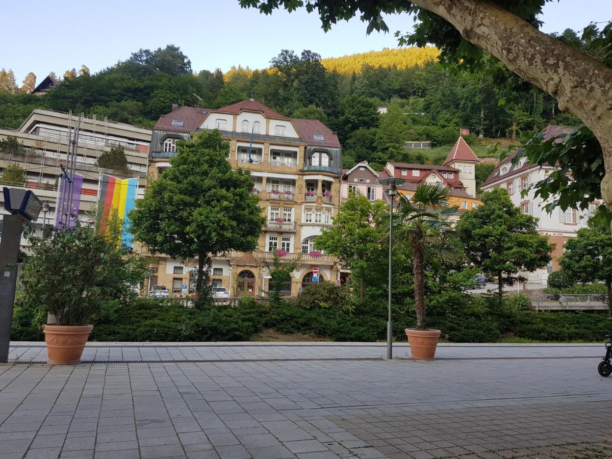 Gemuetliche Wohnung Im Zentrum Von 巴特维尔德巴德 外观 照片